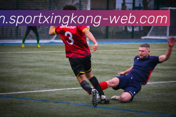 App Interface Preview