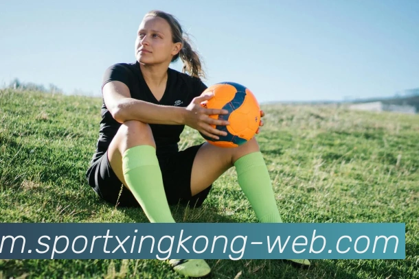 星空体育APP 封面图